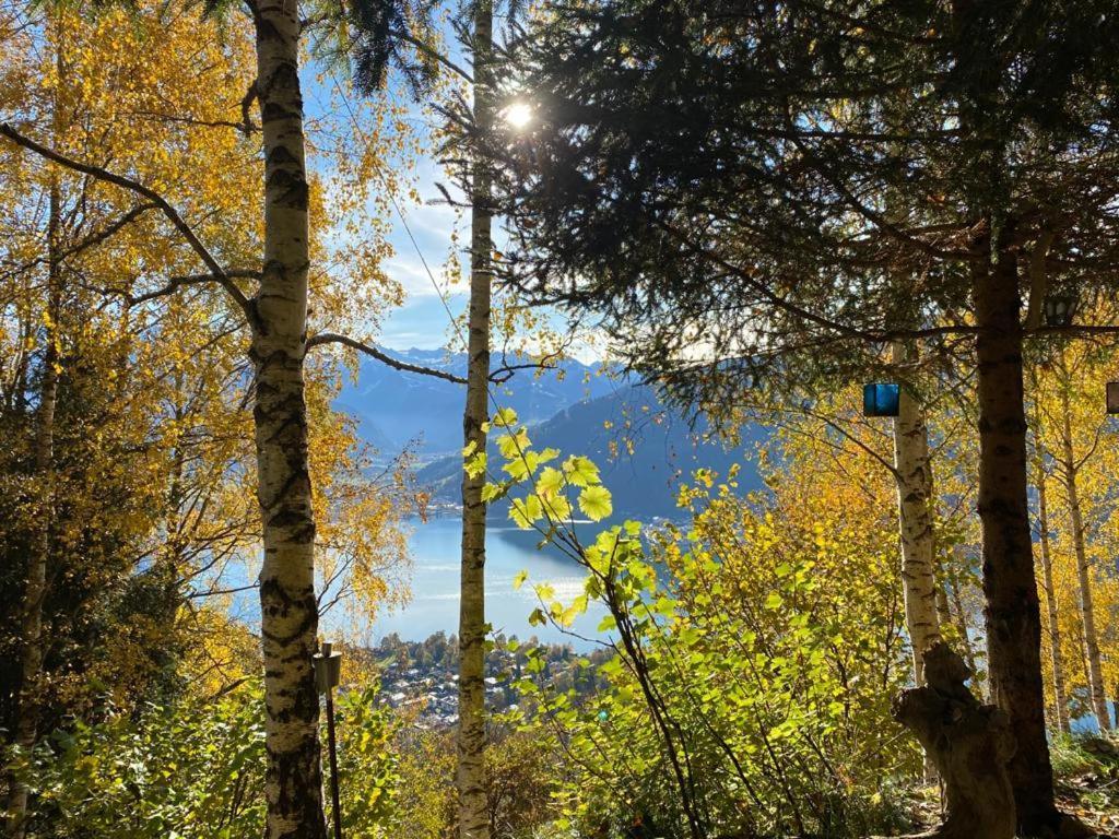Appartement Harrer Zell am See Dış mekan fotoğraf