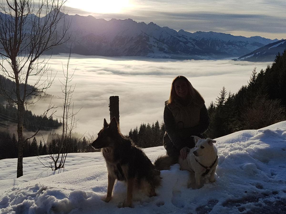 Appartement Harrer Zell am See Dış mekan fotoğraf